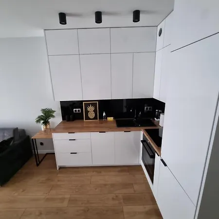 Apartament Ventus Business And Living 46 Kielce Exterior foto