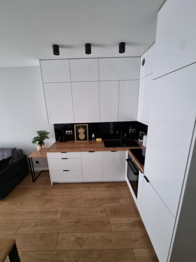 Apartment Ventus Business And Living 46 Kielce